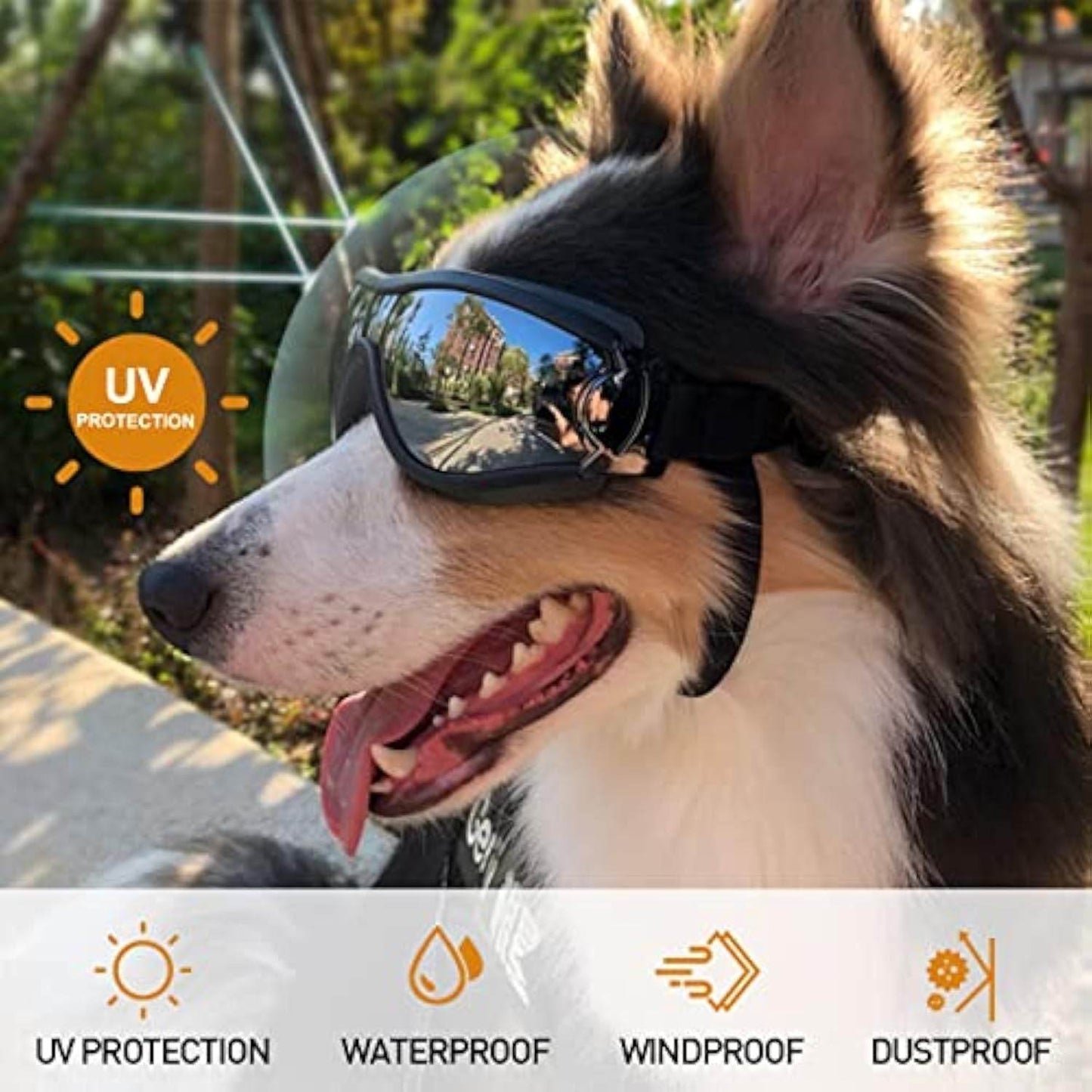Windproof Dog Sunglasses/Goggles - Shop Jobie
