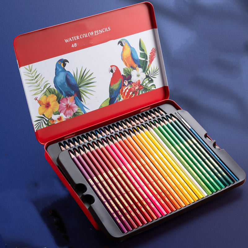 Oil-Based Color Pencil Drawing Set