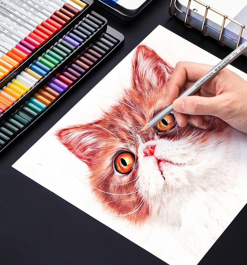 Oil-Based Color Pencil Drawing Set