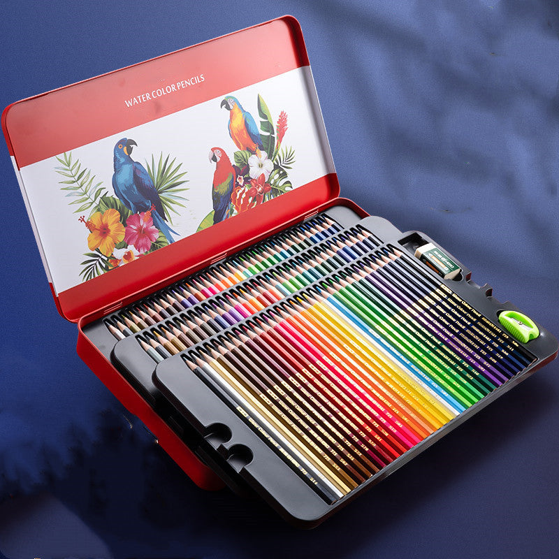 Oil-Based Color Pencil Drawing Set