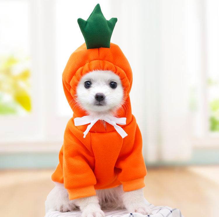 Pet Costumes - Shop Jobie