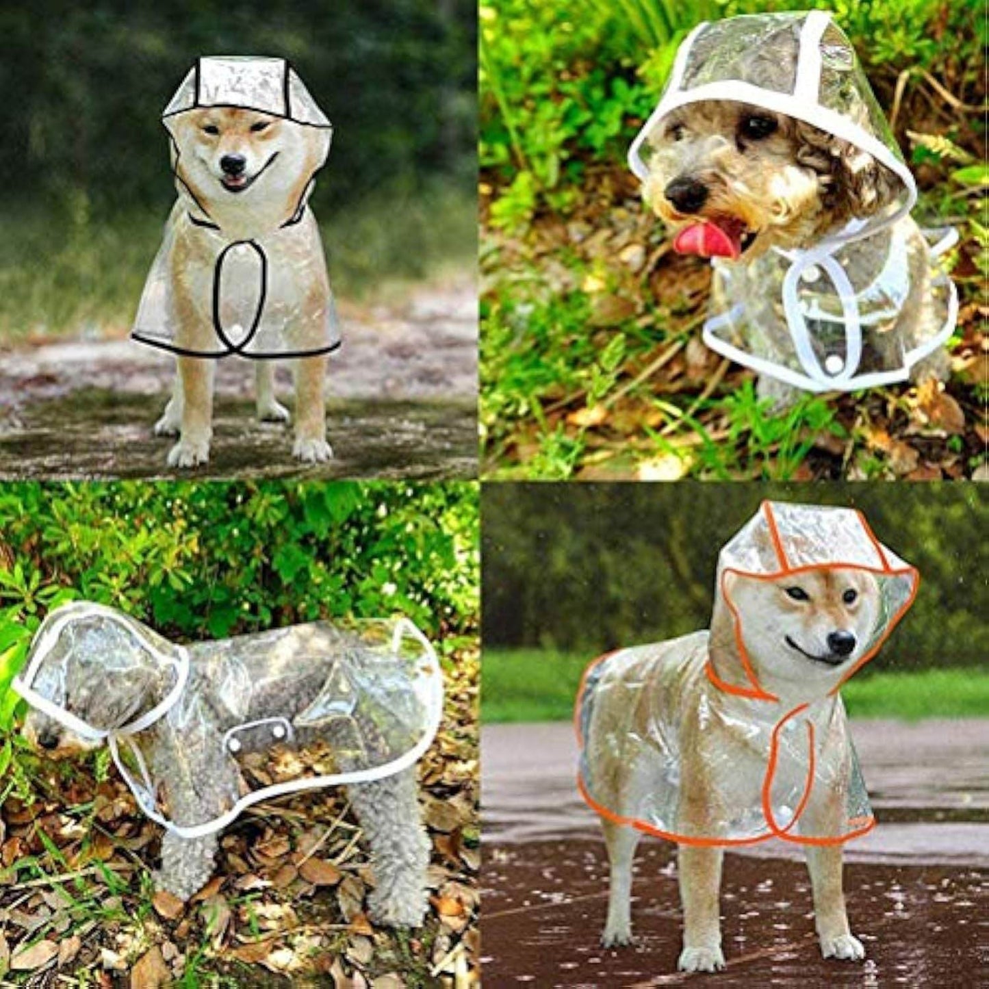 Clear Raincoat For Dogs - Shop Jobie