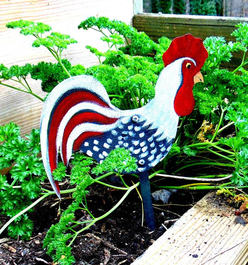 ADAM the CHICKEN 993 - Shop Jobie