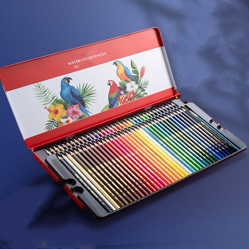 Oil-Based Color Pencil Drawing Set