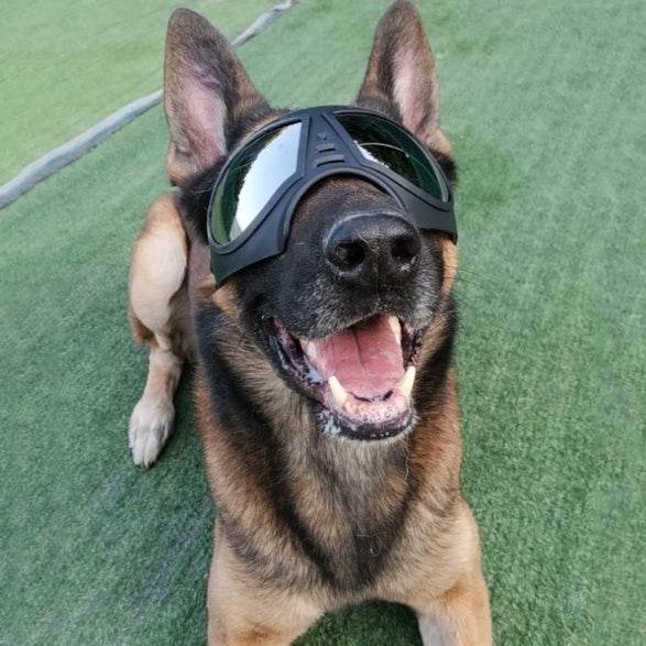 Waterproof Snow-Proof Pet Goggles - Shop Jobie