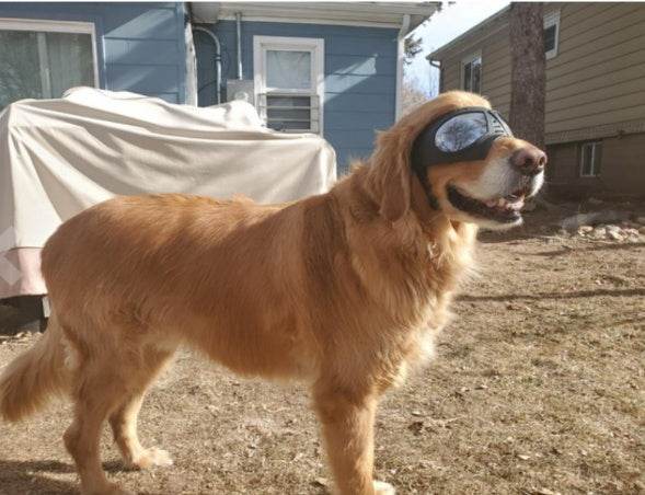 Waterproof Snow-Proof Pet Goggles - Shop Jobie