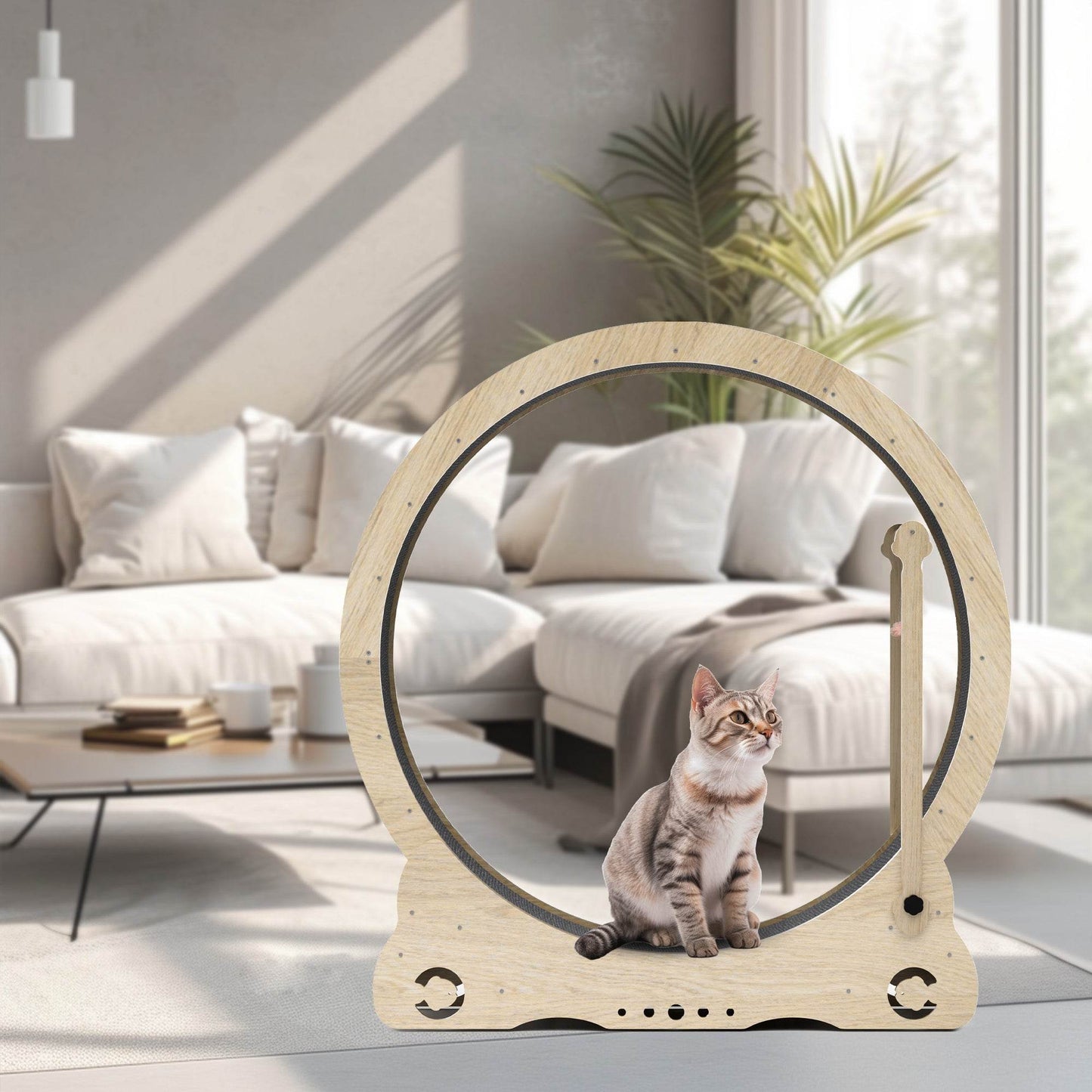 Indoor Cat Treadmill - Shop Jobie