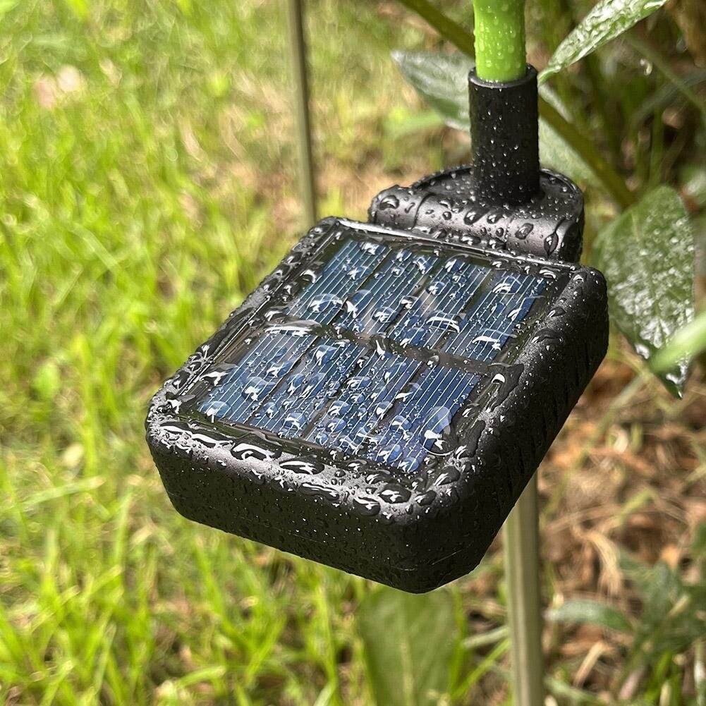 Solar Dandelion Grass Lights - Shop Jobie