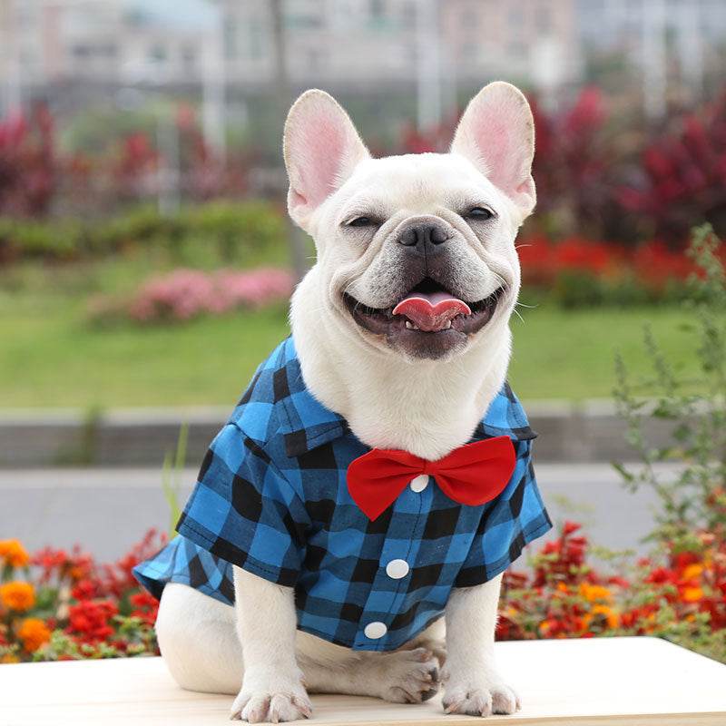 Dog Plaid Shirt Suit - Shop Jobie