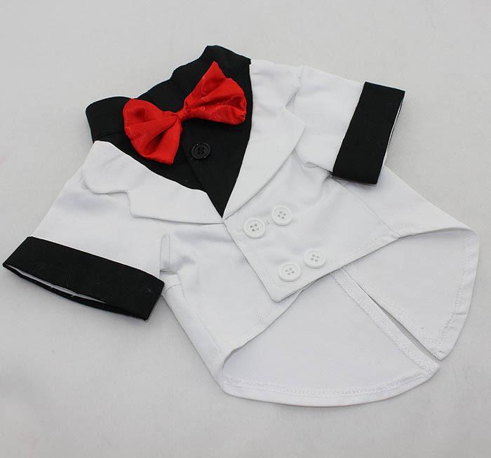 Tuxedo For Dogs