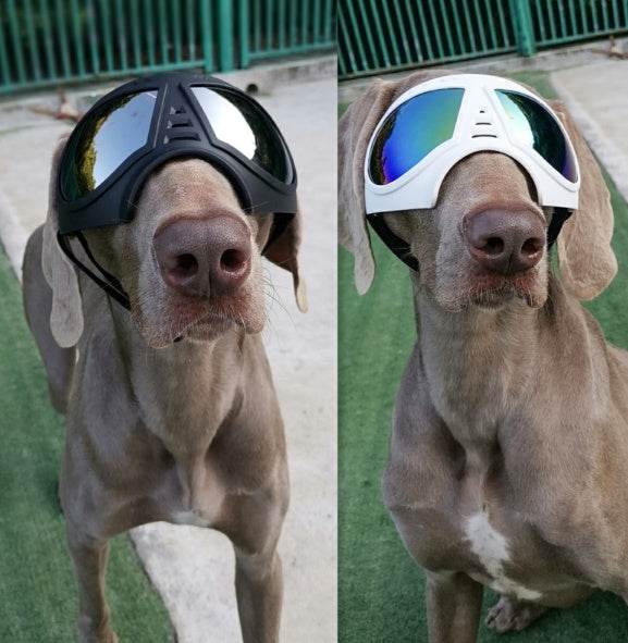 Waterproof Snow-Proof Pet Goggles - Shop Jobie