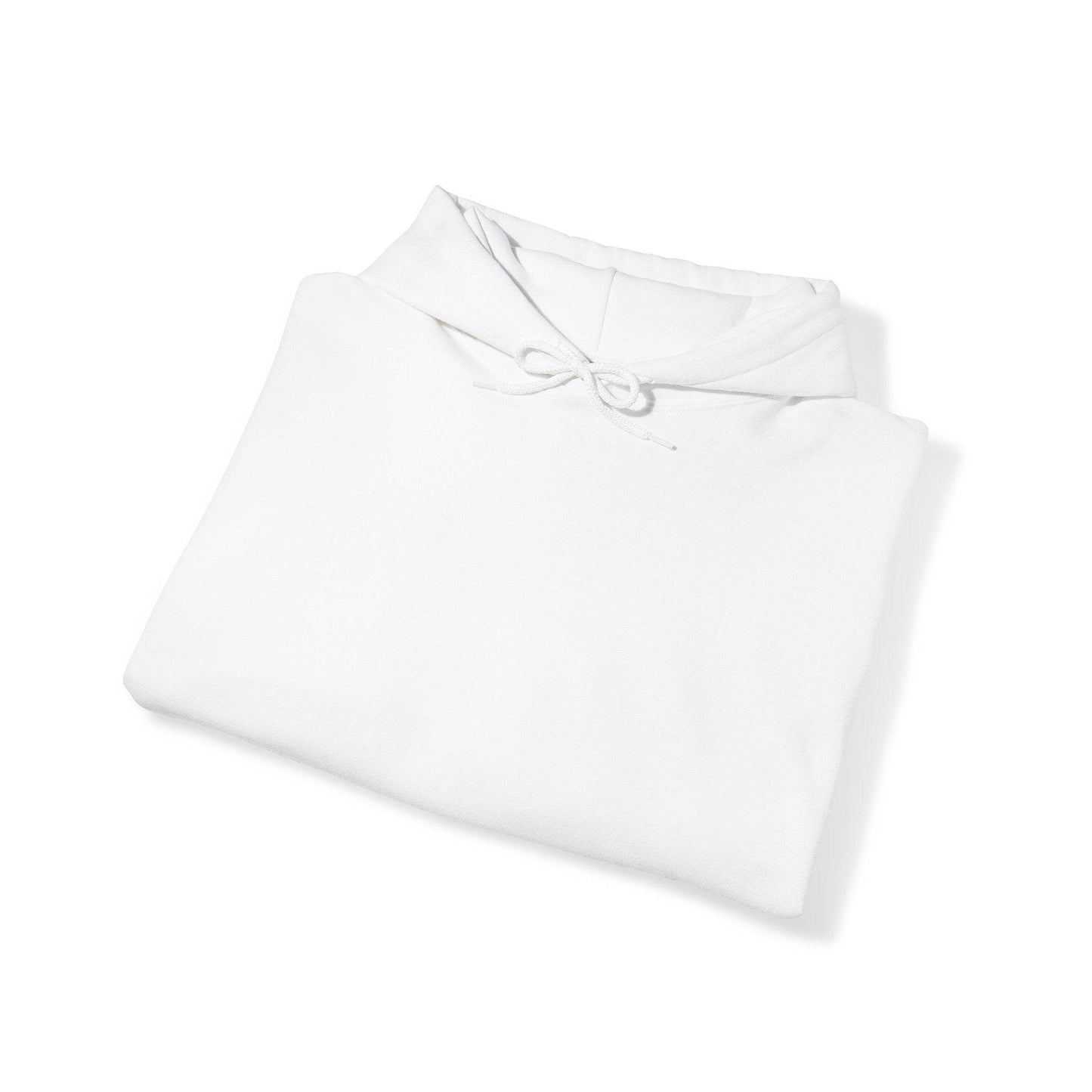 BUSTIN' OUT Racoon Hooded Sweatshirt - Shop Jobie