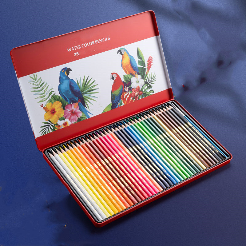 Oil-Based Color Pencil Drawing Set