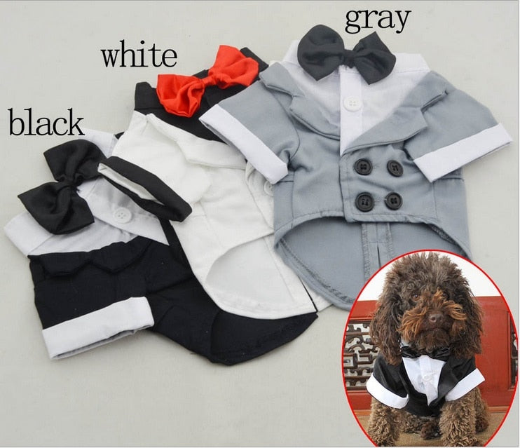 Tuxedo For Dogs