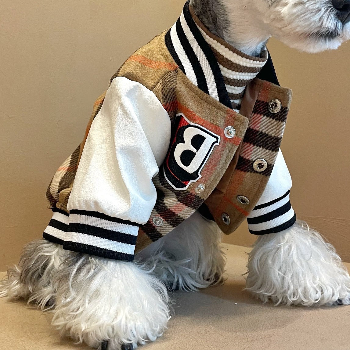 Dog Winter Padded Jacket