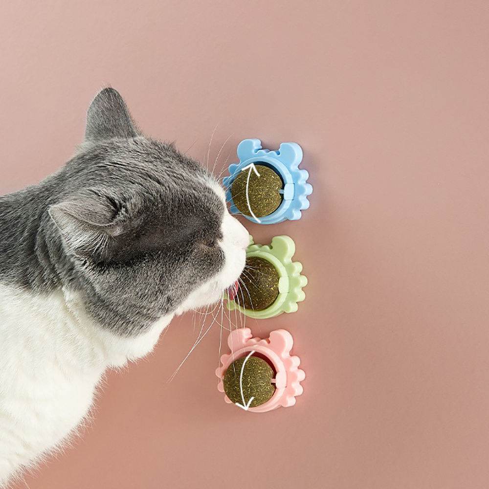 Crab Catnip Teeth Cleaning Cat Toy - Shop Jobie