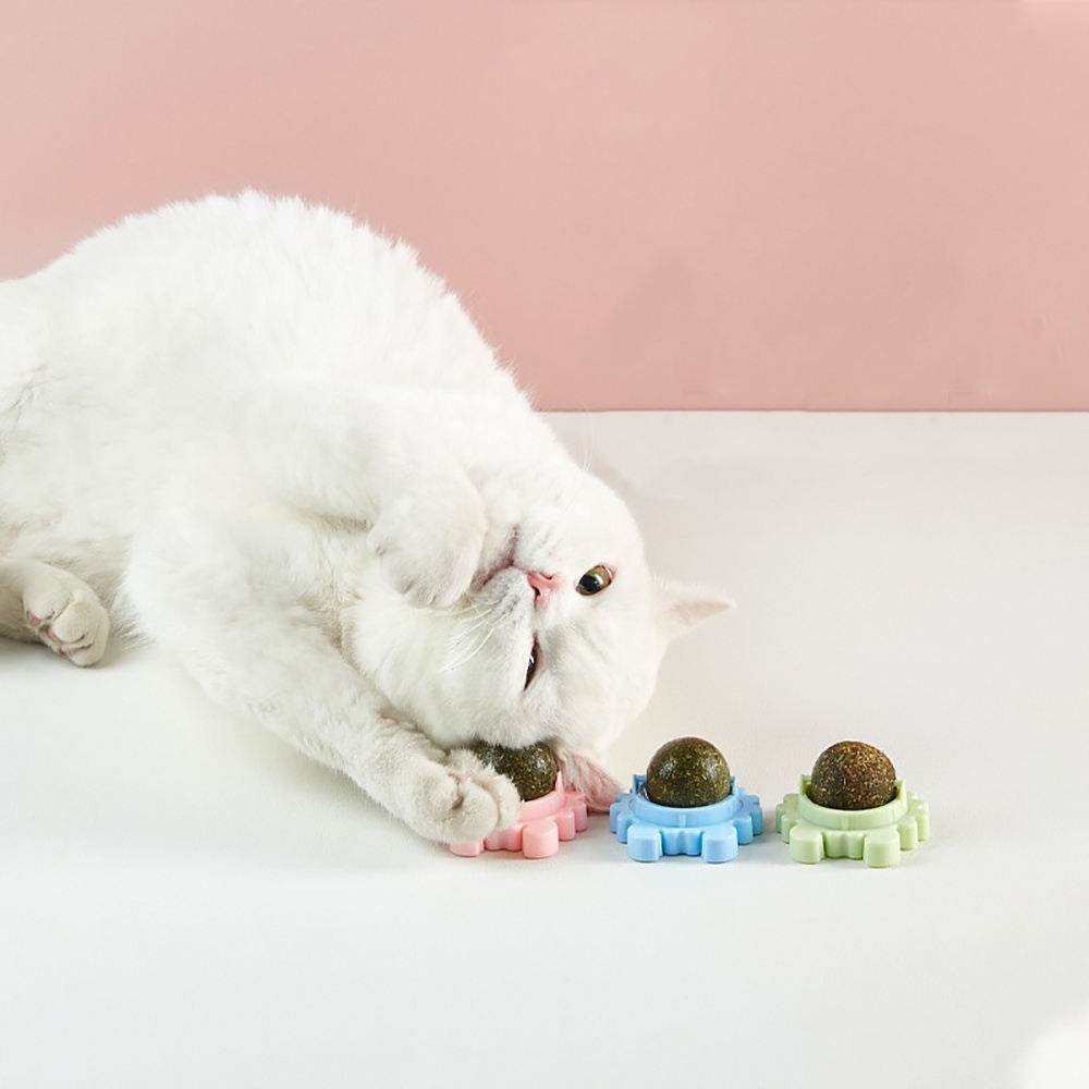 Crab Catnip Teeth Cleaning Cat Toy - Shop Jobie