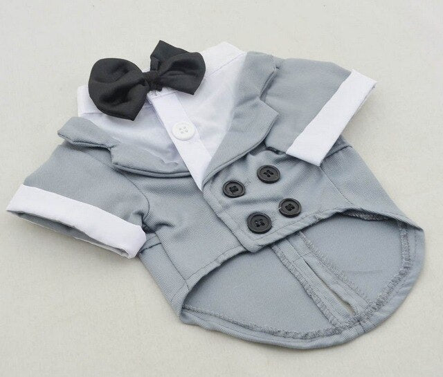 Tuxedo For Dogs