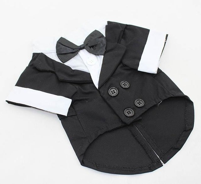 Tuxedo For Dogs