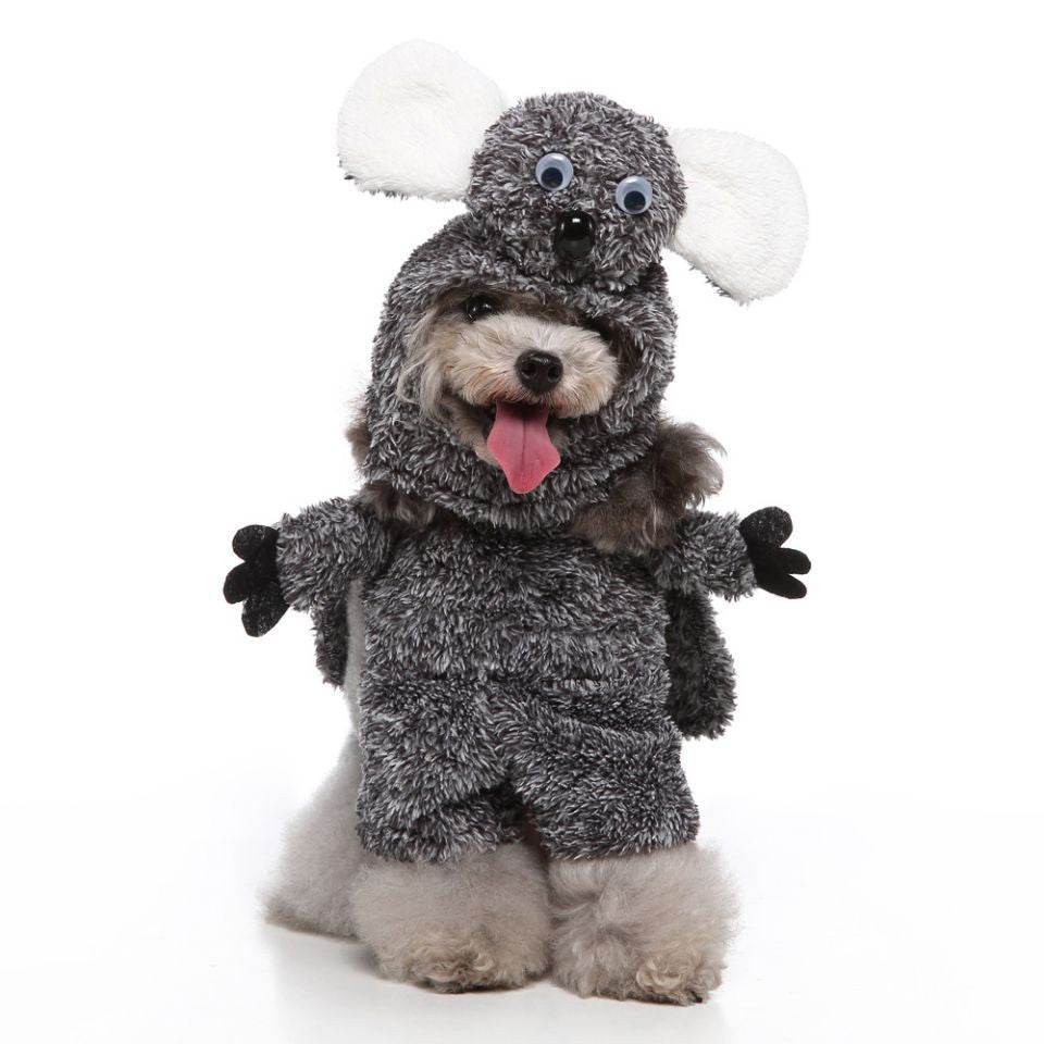 Pet Clothing - Shop Jobie
