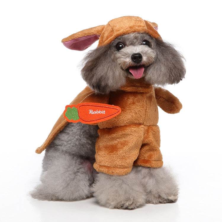 Pet Clothing - Shop Jobie