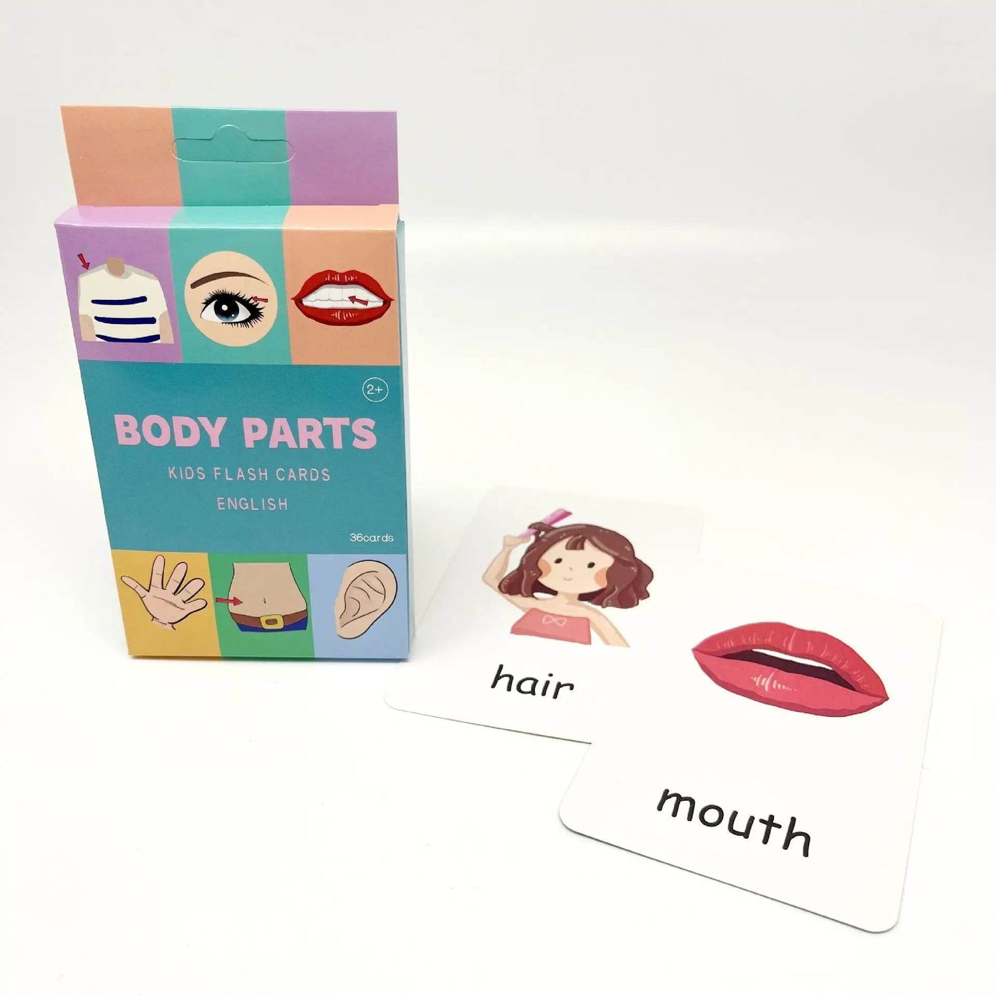 Montessori Teaching Aids - Cognition Flashcards - Shop Jobie
