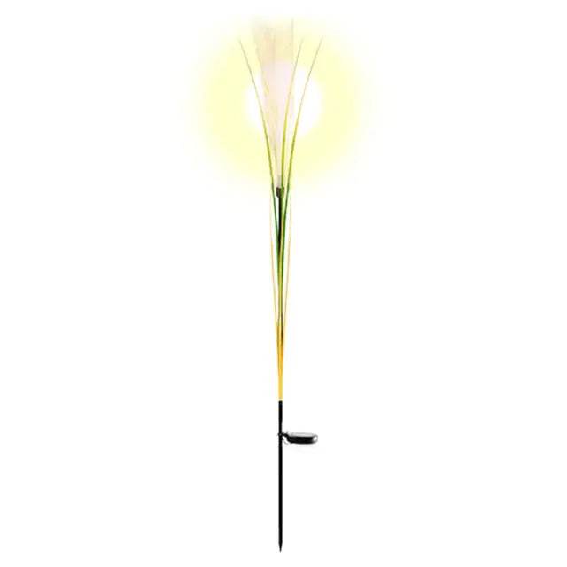 Garden Solar Reed Fiber Lights - Shop Jobie