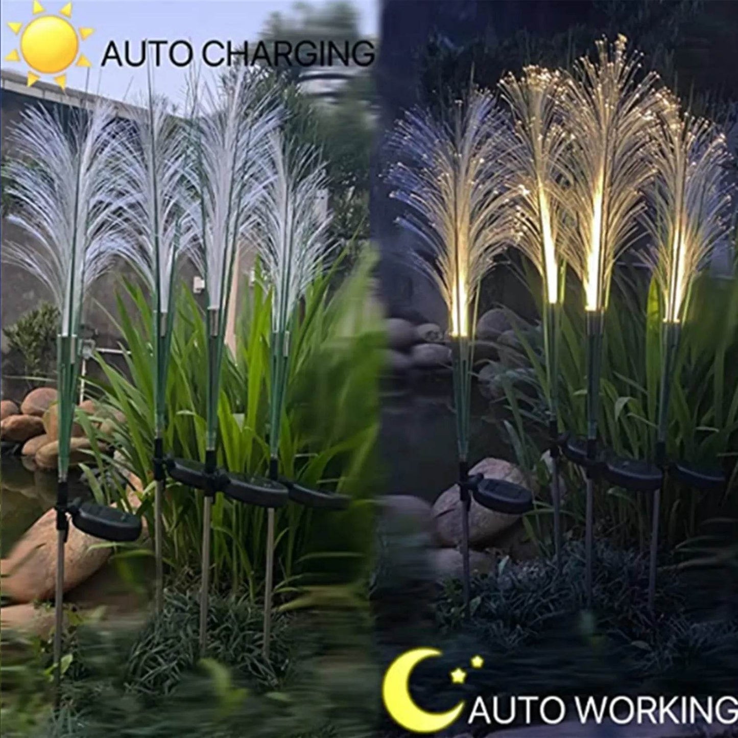 Garden Solar Reed Fiber Lights - Shop Jobie
