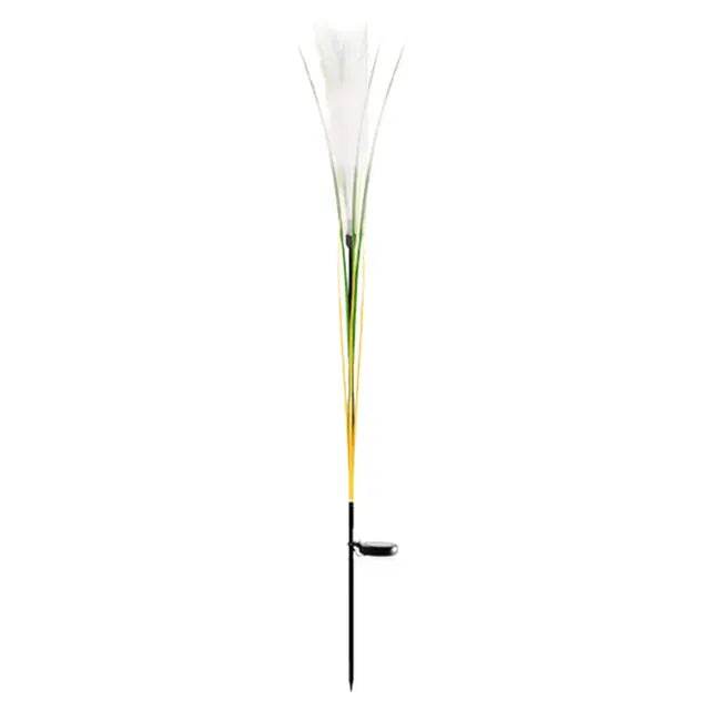 Garden Solar Reed Fiber Lights - Shop Jobie