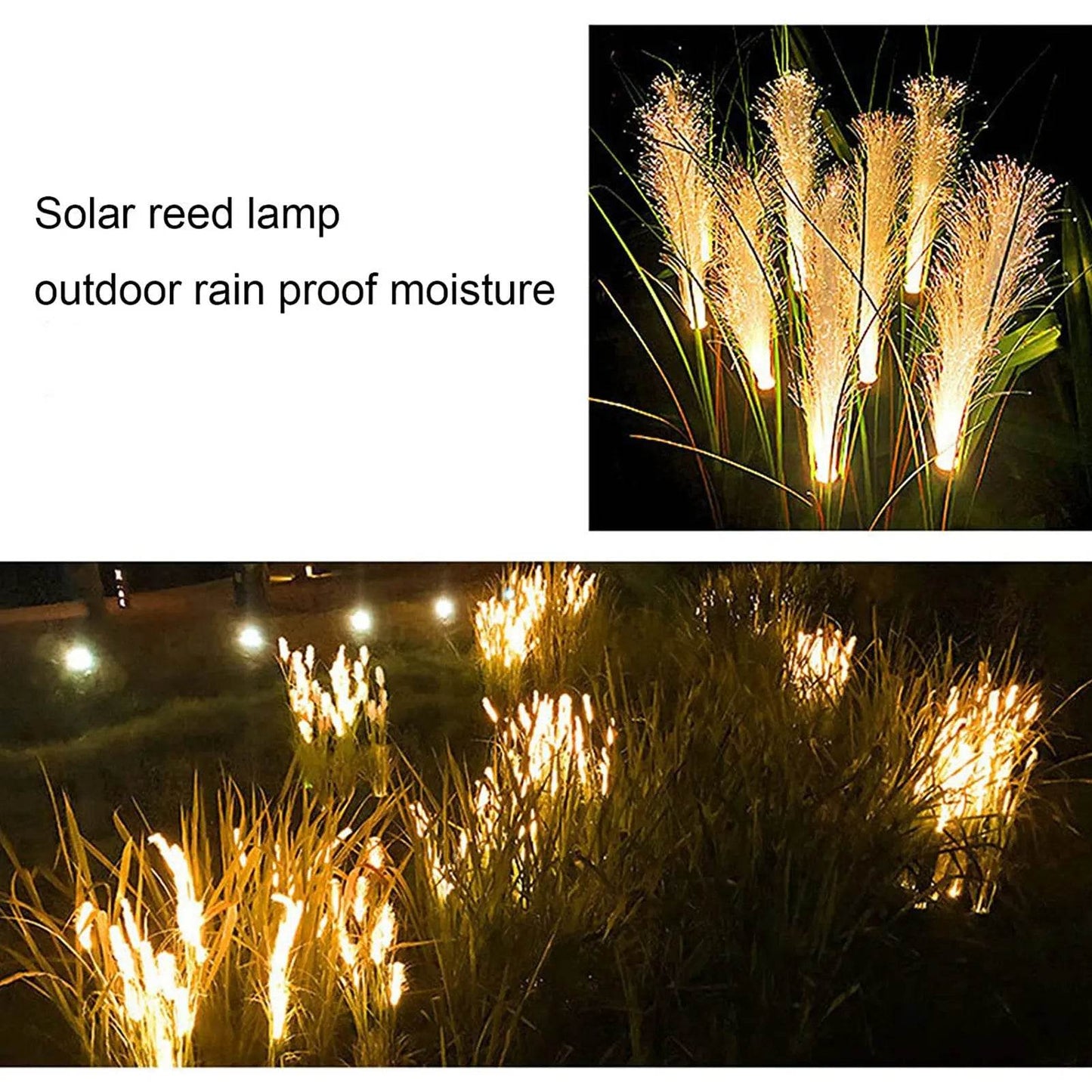 Garden Solar Reed Fiber Lights - Shop Jobie