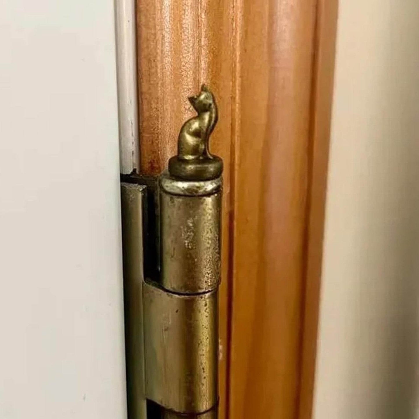 Hinge Toppers - Cats! - Shop Jobie
