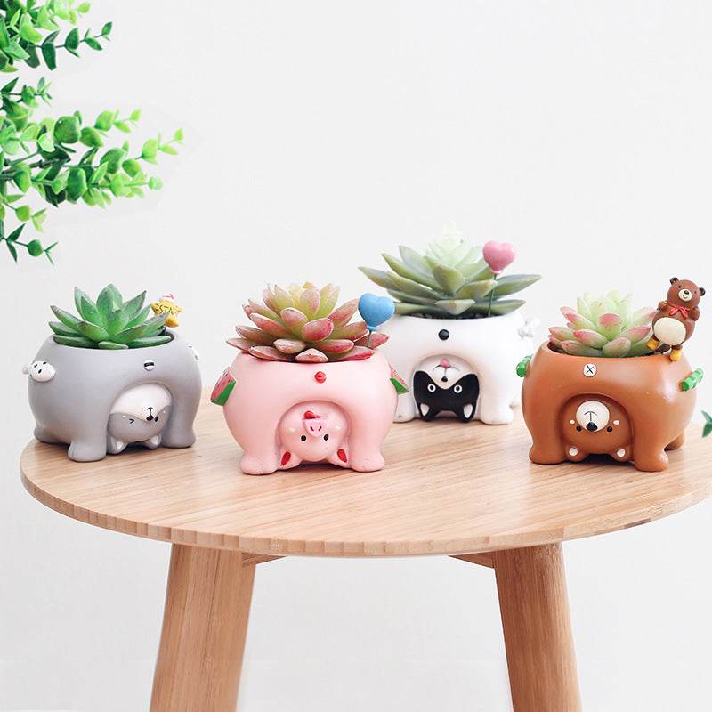 Look At The World Upside Down Succulent Plant Pots - Shop Jobie