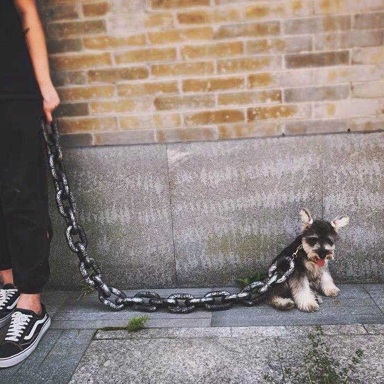 Fun Pets Faux Iron Chain! - Shop Jobie