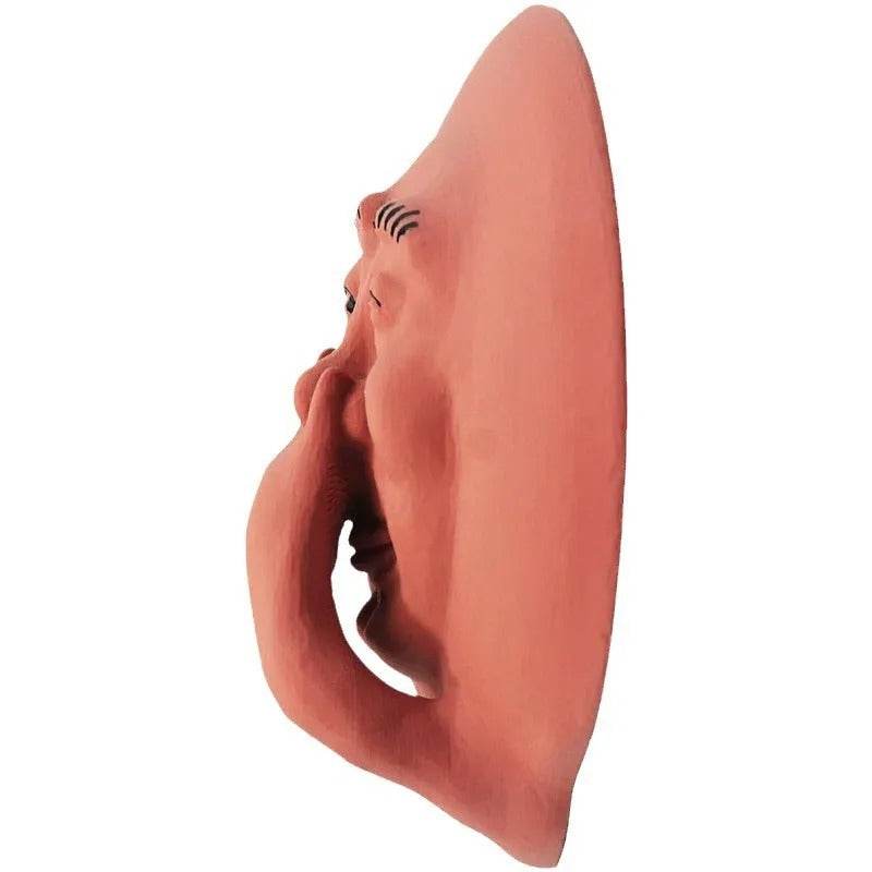 Smelly Face Sam Funny Wall Hanging - Shop Jobie