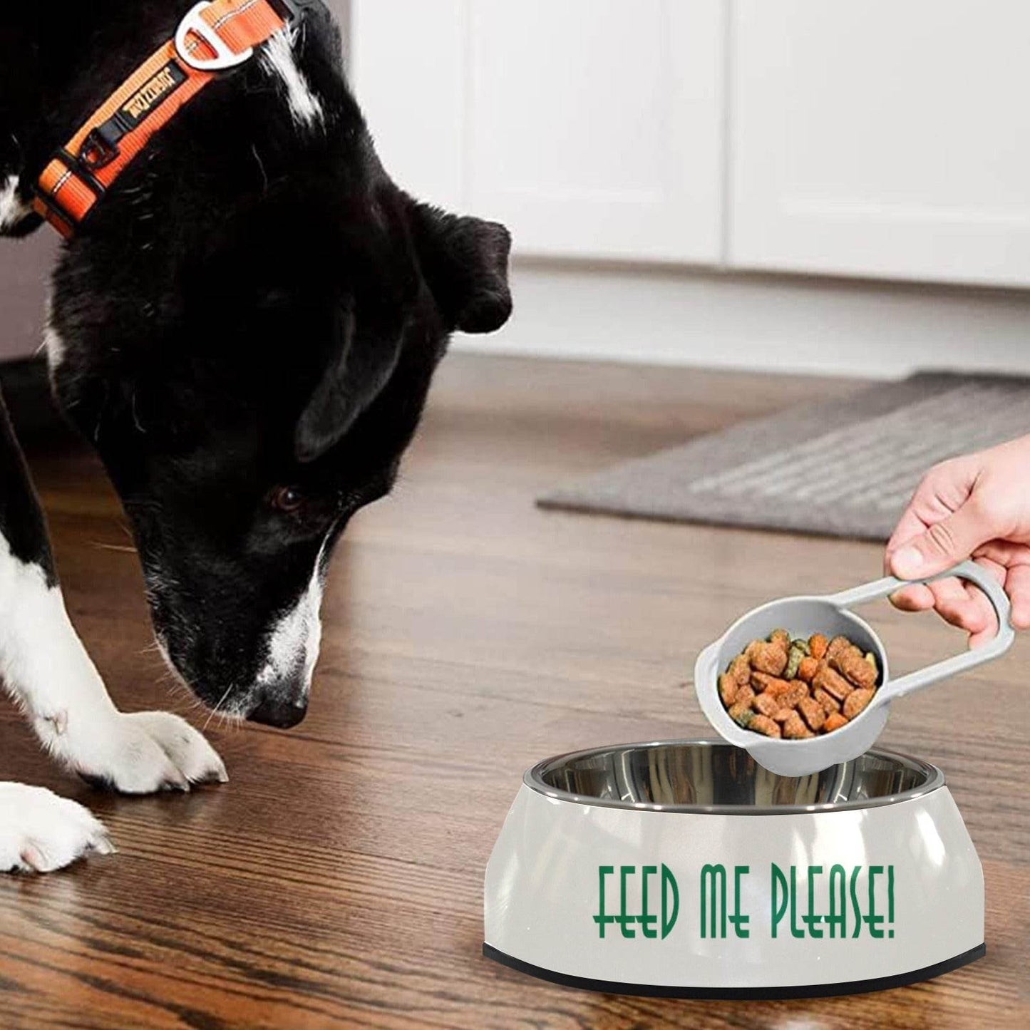 Feed Me Pet Bowl - Shop Jobie