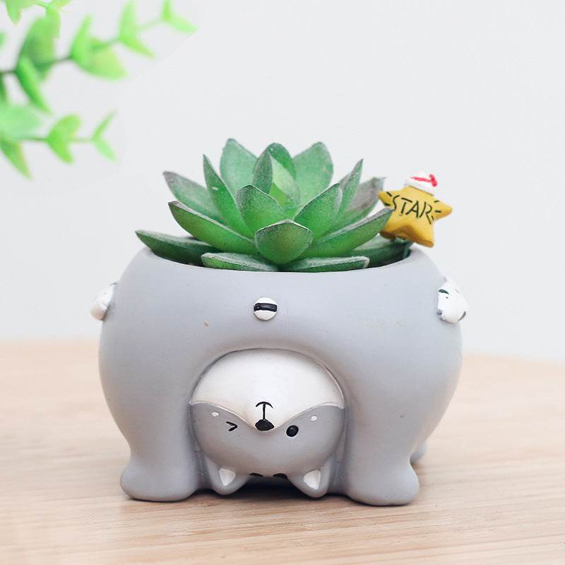 Look At The World Upside Down Succulent Plant Pots - Shop Jobie
