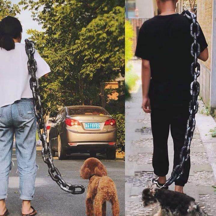 Fun Pets Faux Iron Chain! - Shop Jobie