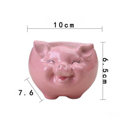 Mini Piggy Succulent Flower Pot