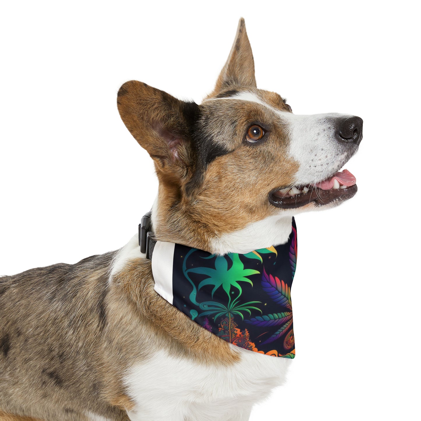 420 Neon Pet Bandana Collar