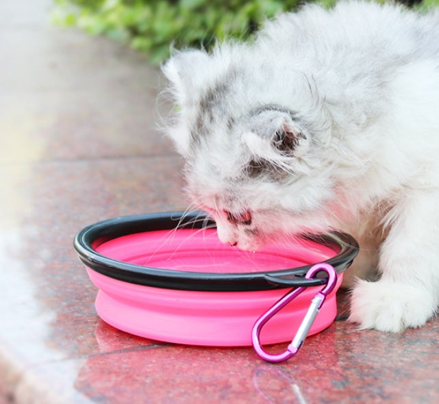Pet Travel Bottle & Bowl