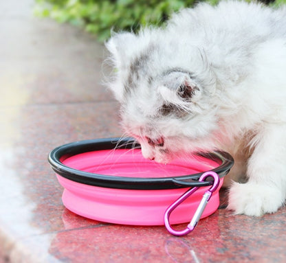 Pet Travel Bottle & Bowl
