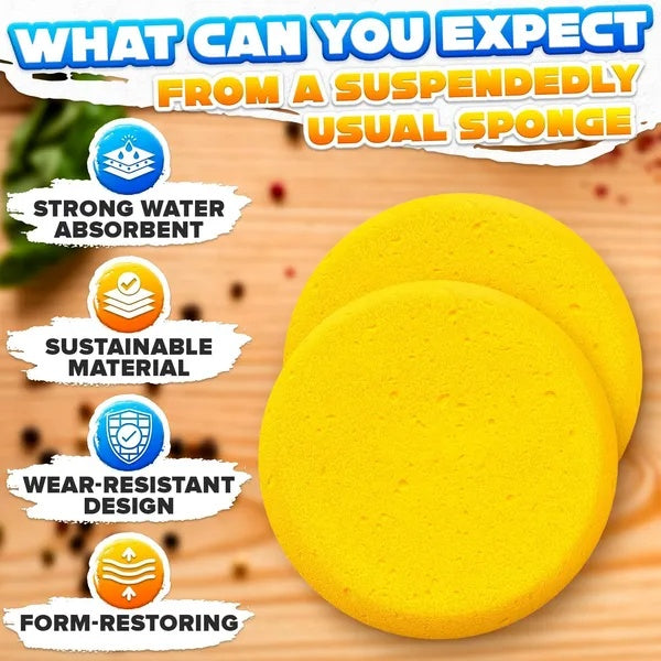12pc Face Painting Pottery Sponges