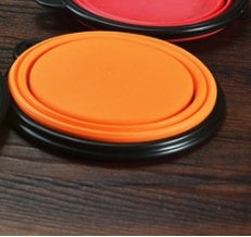 Pet Travel Bottle & Bowl