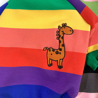 Rainbow Pet Clothing