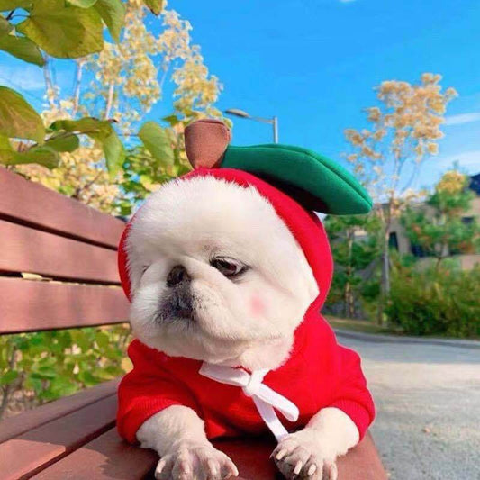 Pet Costumes - Shop Jobie