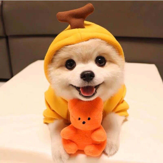 Pet Costumes