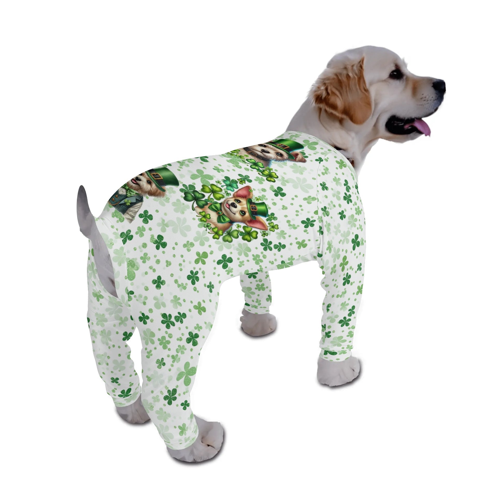 filename-1769394095-1-Caq9dXA3Sk