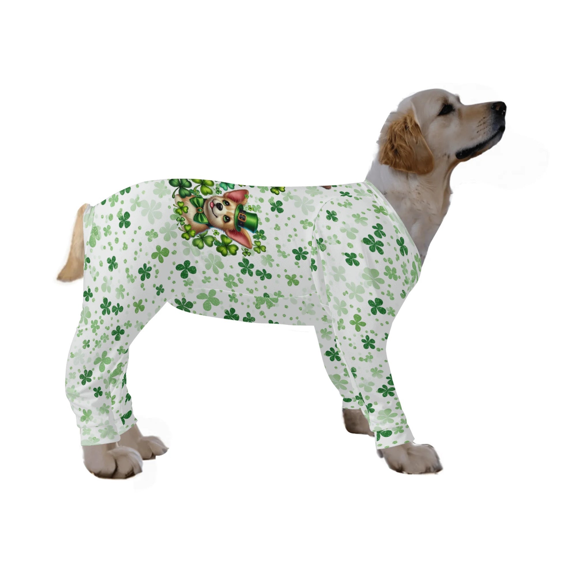 filename-1769394095-3-Caq9dXA3Sk