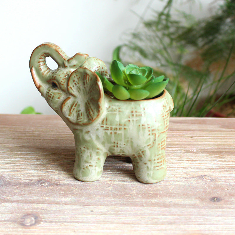 Succulent Flower Pot