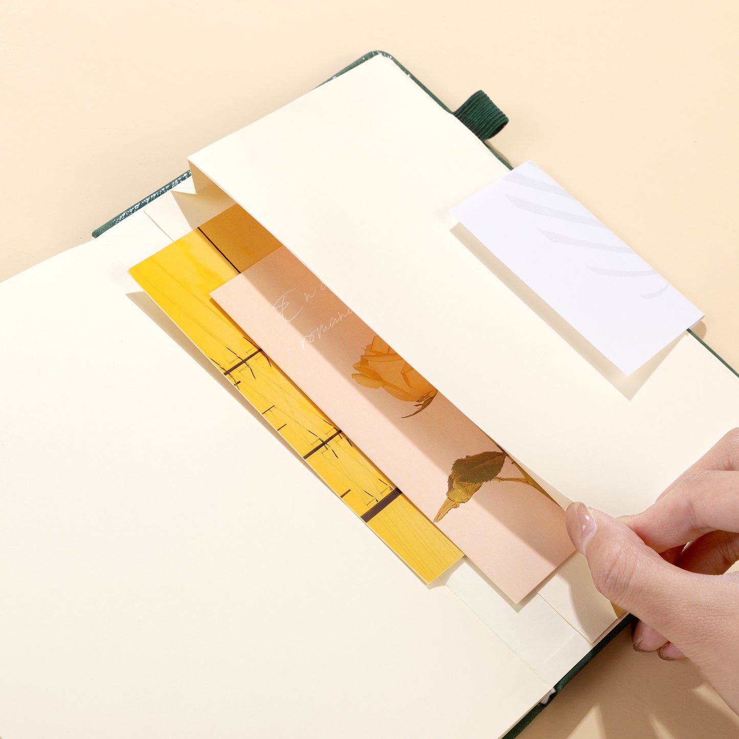 Life Skills - Budget Planner